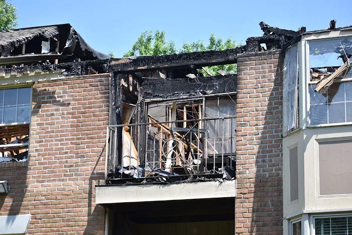 Elegant Restoration, Inc. Picture 6