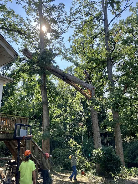 Baltimore Restoration Picture 1