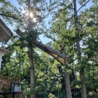 Baltimore Restoration ico