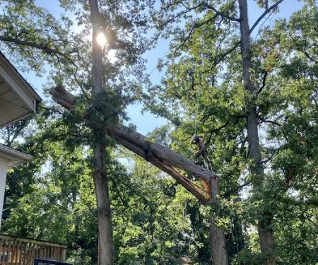 Baltimore Restoration