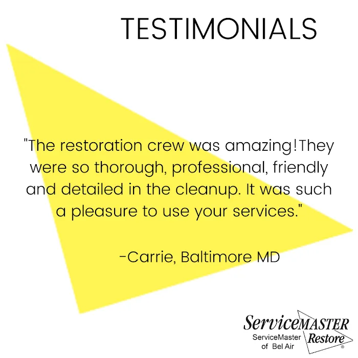 ServiceMaster by Elevate - Serving Baltimore & Surrounding Areas Picture 6