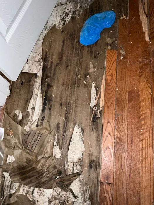 Reyes Restoration Picture 10