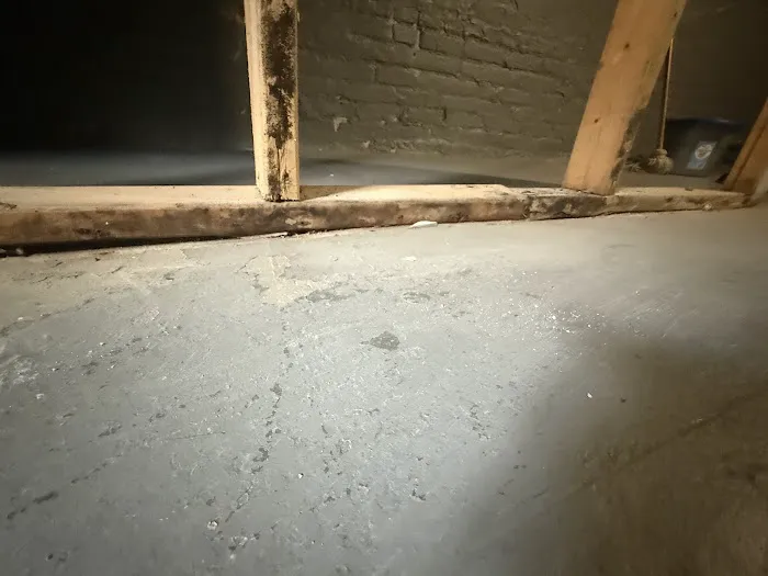 Charm City Mold Inspections Picture 6