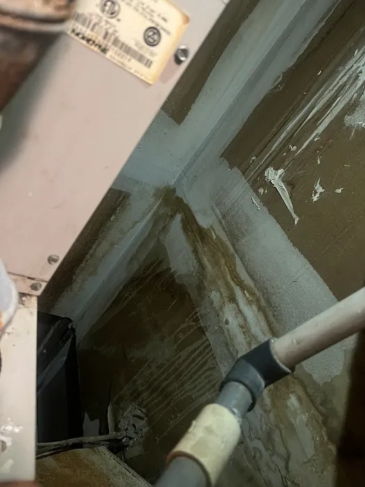 Charm City Mold Inspections Picture 3