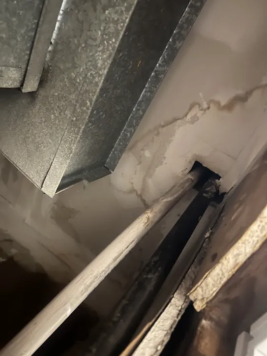 Charm City Mold Inspections Picture 8