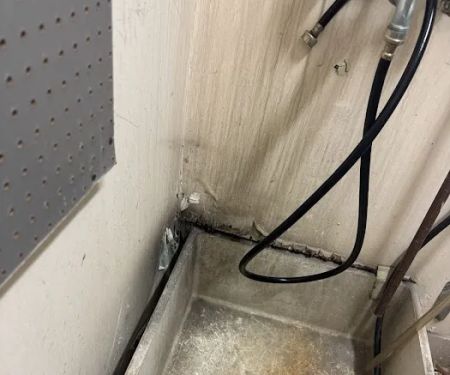 Charm City Mold Inspections