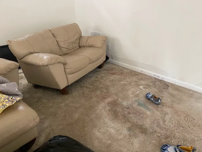 Watery Dewing Disaster Restoration Picture 4