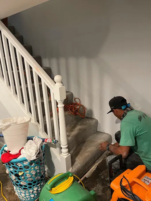 Watery Dewing Disaster Restoration Picture 5