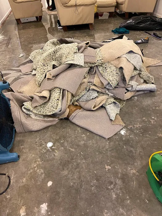 Watery Dewing Disaster Restoration Picture 3