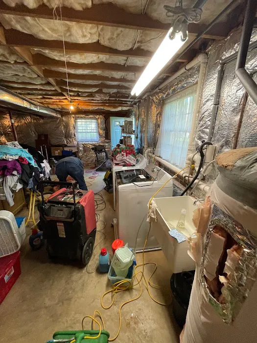 Watery Dewing Disaster Restoration Picture 1