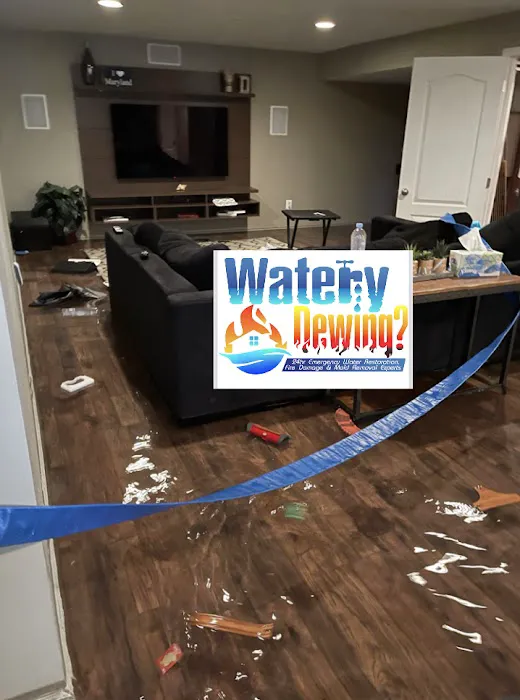 Watery Dewing Disaster Restoration Picture 7