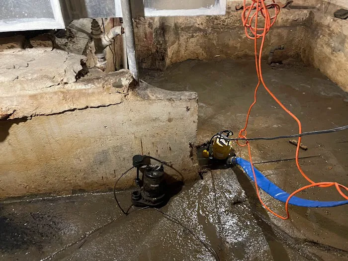 Watery Dewing Disaster Restoration Picture 10