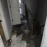 PuroClean of White Marsh ico