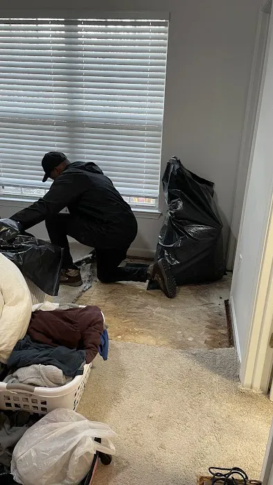 ServiceMaster by Singer Picture 4