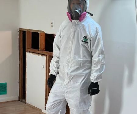 AdvantaClean of McLean