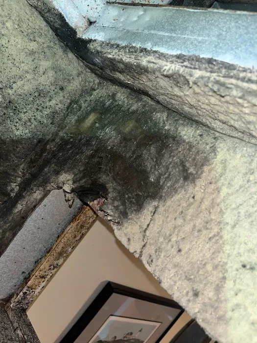 AdvantaClean of McLean Picture 5