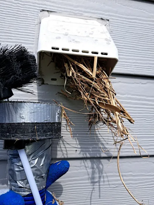 AdvantaClean of McLean Picture 9