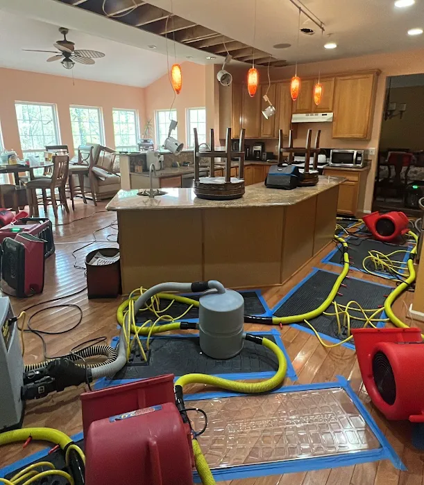 Royal Restoration Picture 10