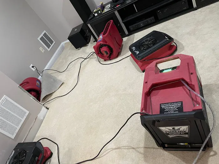 Royal Restoration Picture 4