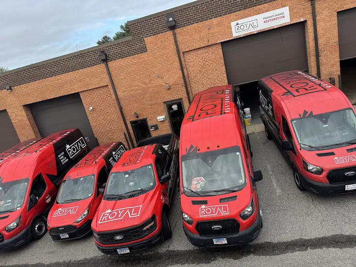 Royal Restoration Picture 5