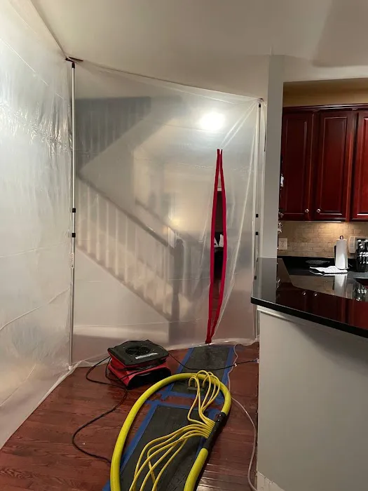 Royal Restoration Picture 8