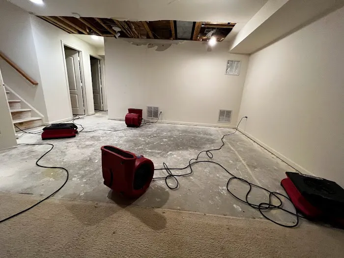 Royal Restoration Picture 9