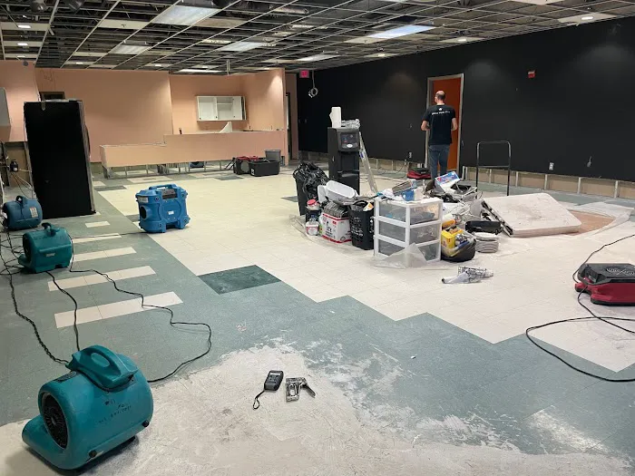 Royal Restoration Picture 1