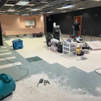 Royal Restoration ico