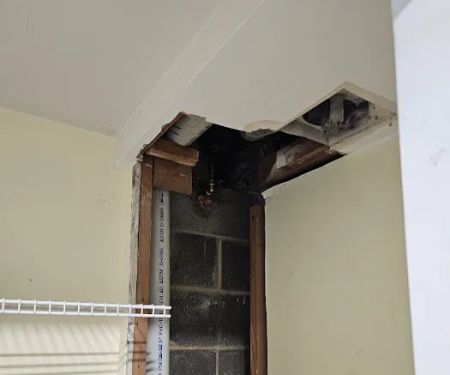 PuroClean of Alexandria