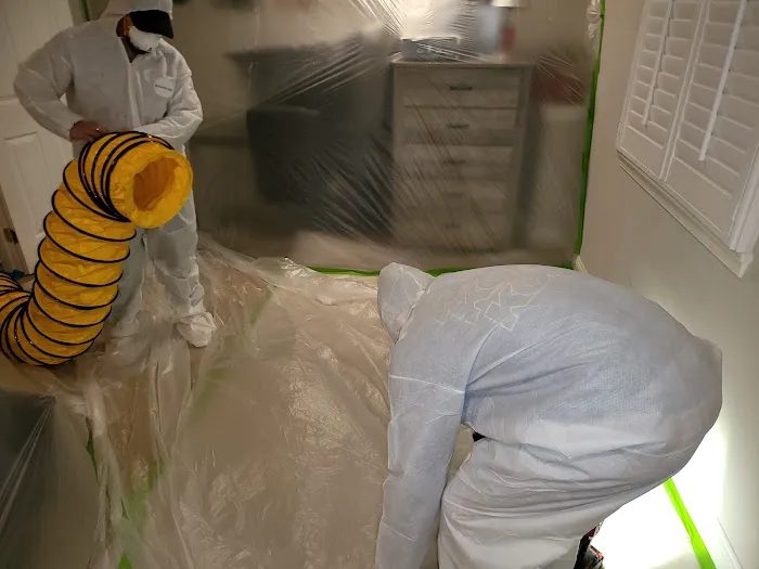 Mold Relief Picture 3