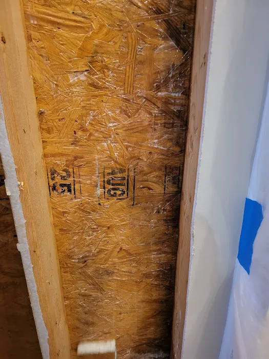 Mold Relief Picture 4