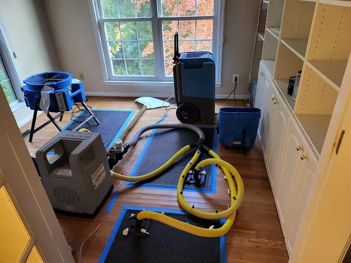 Mold Relief Picture 10