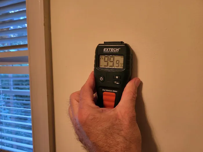 Mold Relief Picture 9