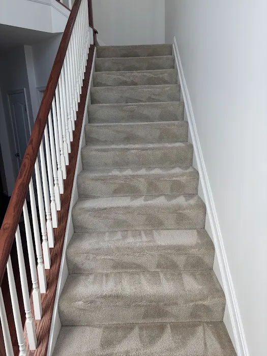 Stanley Steemer Picture 3