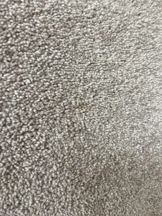 Stanley Steemer Picture 7