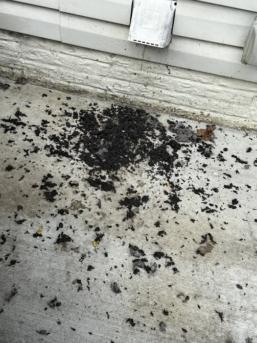 Stanley Steemer Picture 10