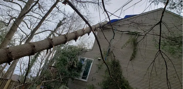 BRAVADO GROUP RESTORATION Picture 9