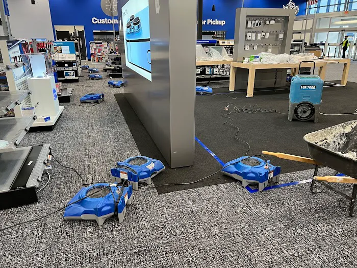 BRAVADO GROUP RESTORATION Picture 10