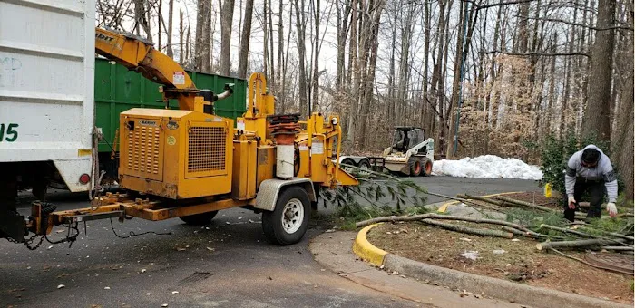 BRAVADO GROUP RESTORATION Picture 1