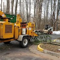 BRAVADO GROUP RESTORATION ico