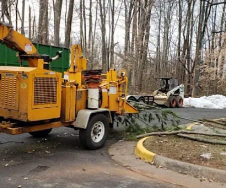 BRAVADO GROUP RESTORATION