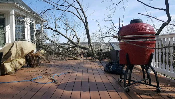 BRAVADO GROUP RESTORATION Picture 4