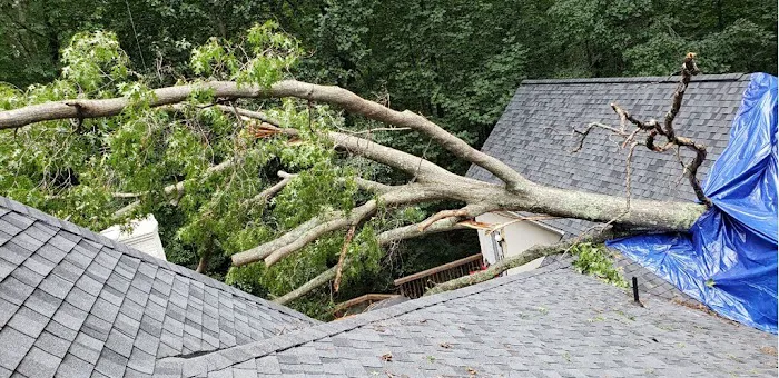 BRAVADO GROUP RESTORATION Picture 8