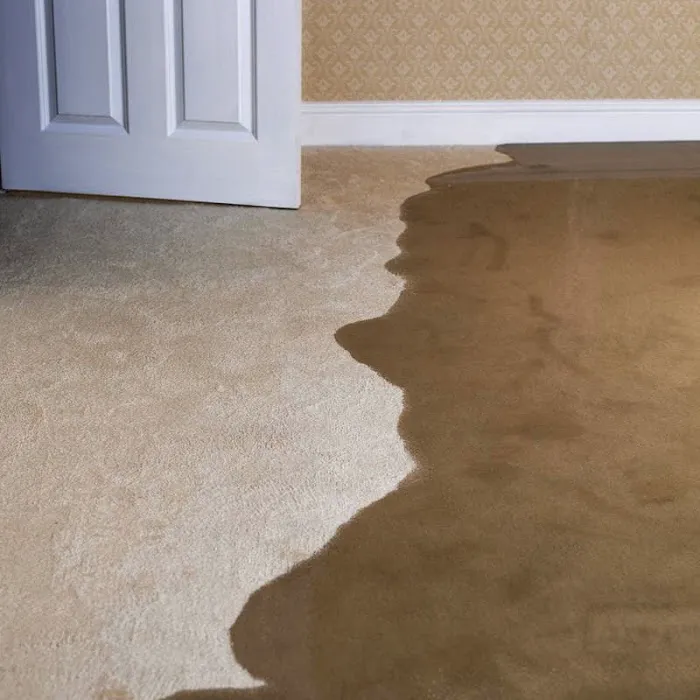 Rainbow Restoration of Northern Virginia Picture 7