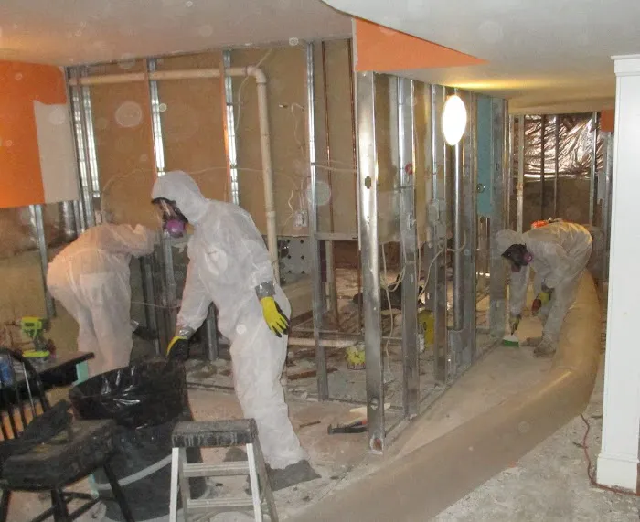 Valor Mold Removal Picture 8