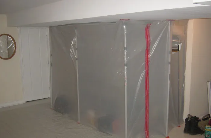 Valor Mold Removal Picture 3