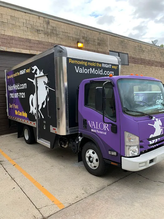 Valor Mold Removal Picture 2