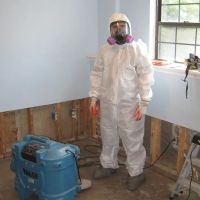 Valor Mold Removal ico