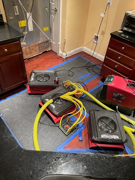 Royal Restoration Picture 5