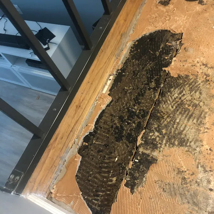 Water Damage America Picture 10